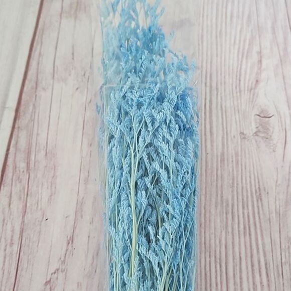 Pampas Grass Bunch - Picture 3 of 3